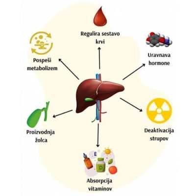Čiščenje jeter liver biostile